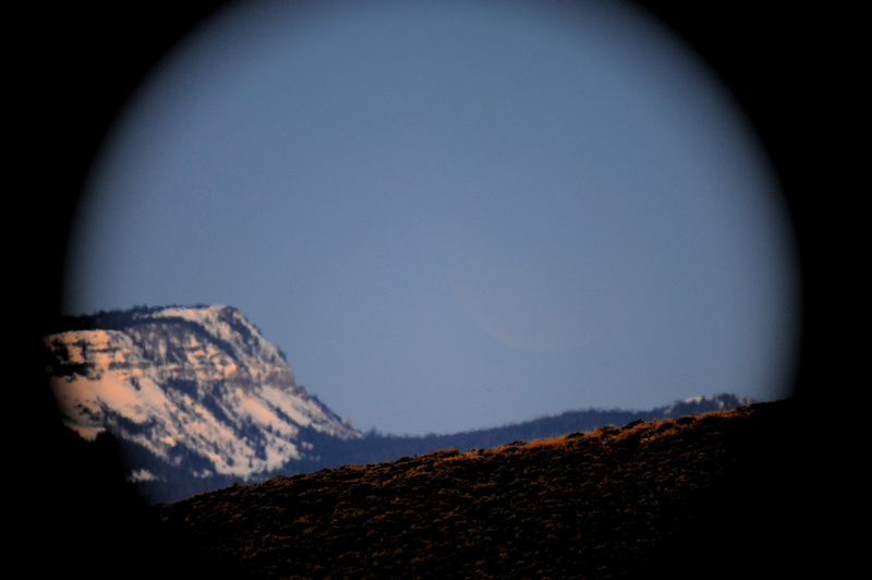 Illustration for article titled There is a full moon hidden in this photograph — can you find it?